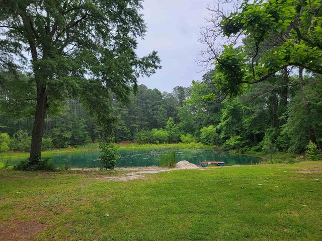 3217 Rowena Avenue, Durham, NC 27703