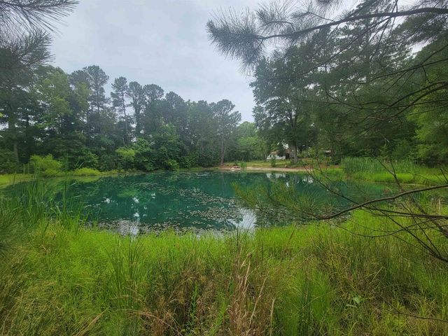 3217 Rowena Avenue, Durham, NC 27703