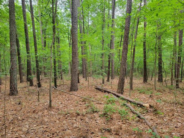 3217 Rowena Avenue, Durham, NC 27703