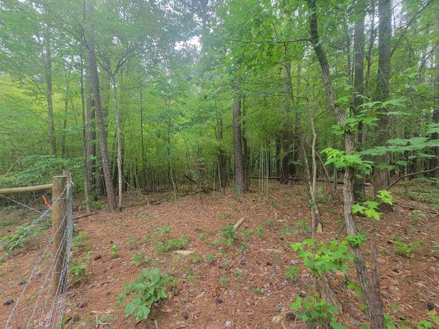 3217 Rowena Avenue, Durham, NC 27703