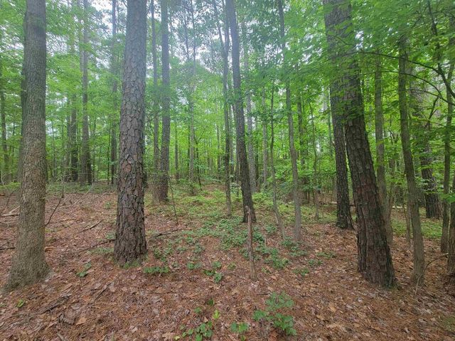 3217 Rowena Avenue, Durham, NC 27703