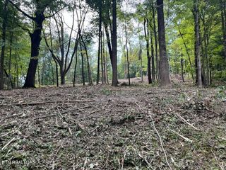W Hemlock St, Lafollette, TN 37766