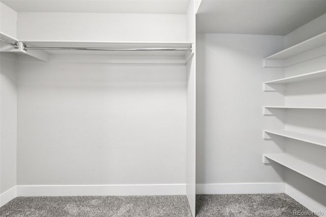 1151 Goldenrod Circle, Broomfield, CO 80020