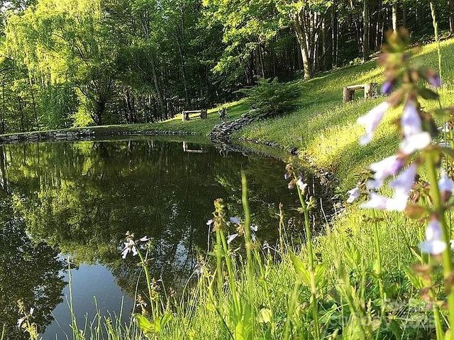 617 Norton Fork Road, Hot Springs, NC 28743