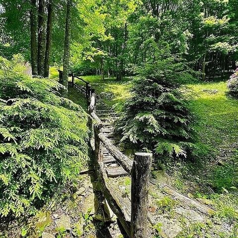 617 Norton Fork Road, Hot Springs, NC 28743