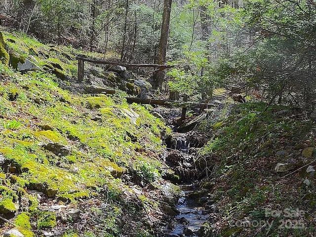 617 Norton Fork Road, Hot Springs, NC 28743