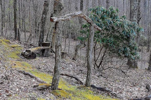 617 Norton Fork Road, Hot Springs, NC 28743