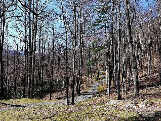 617 Norton Fork Road, Hot Springs, NC 28743