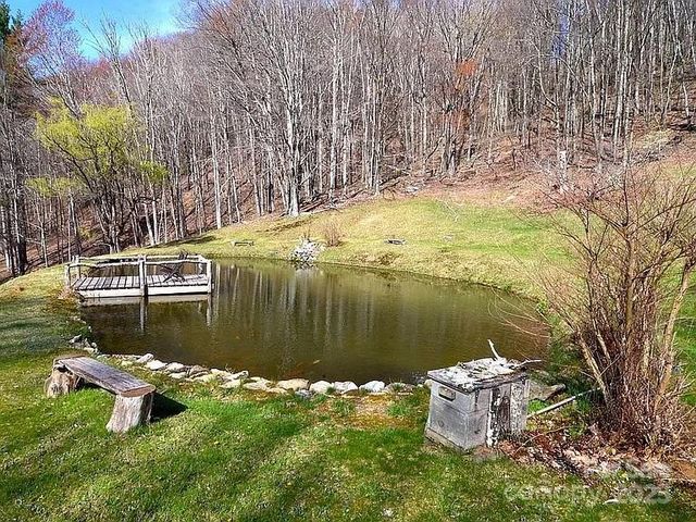 617 Norton Fork Road, Hot Springs, NC 28743