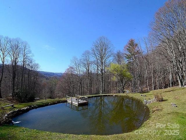 617 Norton Fork Road, Hot Springs, NC 28743