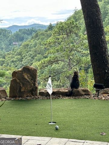 172 Star Mountain Drive, Clayton, GA 30525