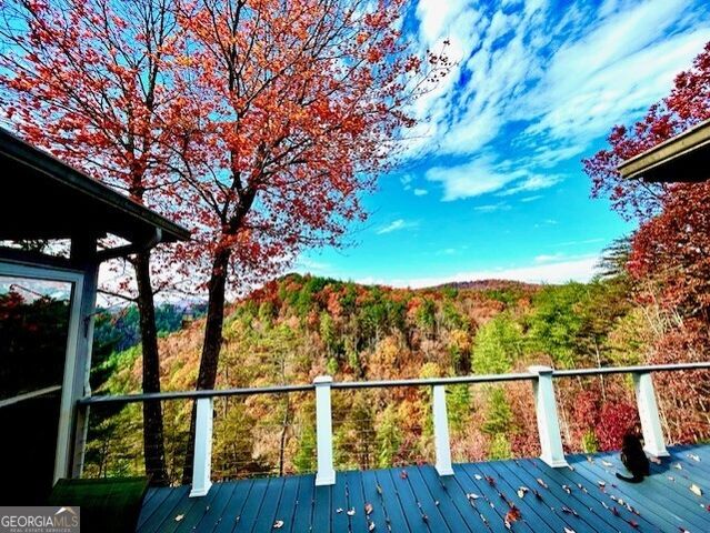 172 Star Mountain Drive, Clayton, GA 30525