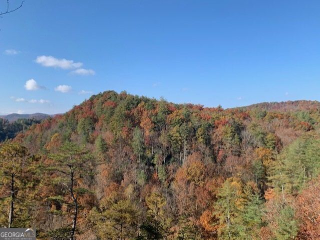 172 Star Mountain Drive, Clayton, GA 30525