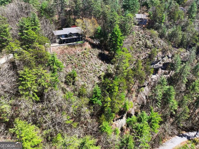 172 Star Mountain Drive, Clayton, GA 30525