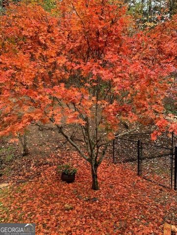 172 Star Mountain Drive, Clayton, GA 30525