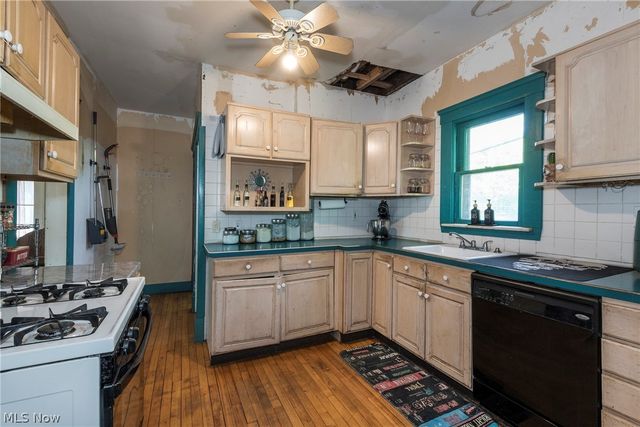 1333 Nicholson Avenue, Lakewood, OH 44107