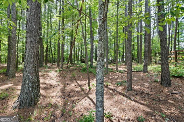 70 Moonlit Trail, Dallas, GA 30132