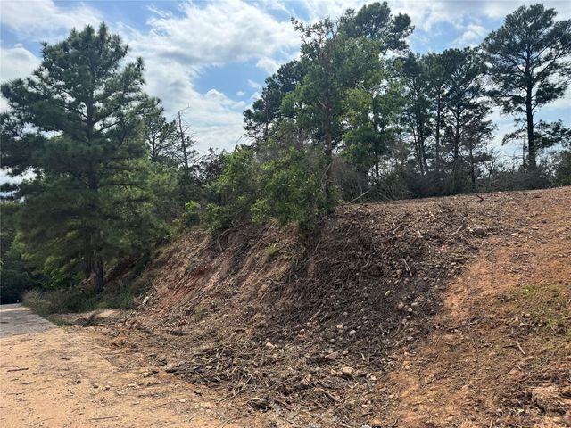 Lots 1263, 1264, 1265 Hanauma DR, Bastrop, TX 78602