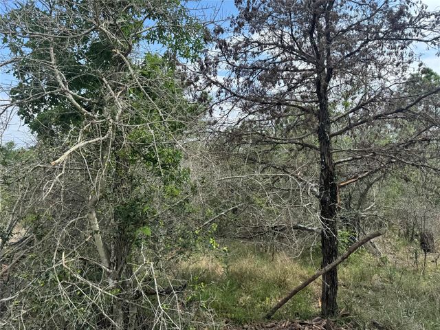 Lots 1263, 1264, 1265 Hanauma DR, Bastrop, TX 78602