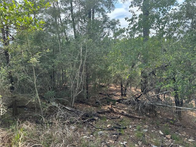 Lots 1263, 1264, 1265 Hanauma DR, Bastrop, TX 78602