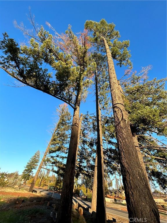 8561 Skyway, Paradise, CA 95969