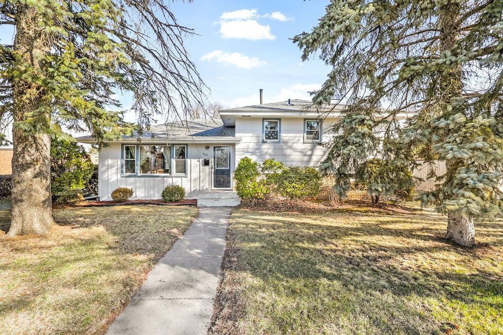 703 Mississippi Street NE, Fridley, MN 55432