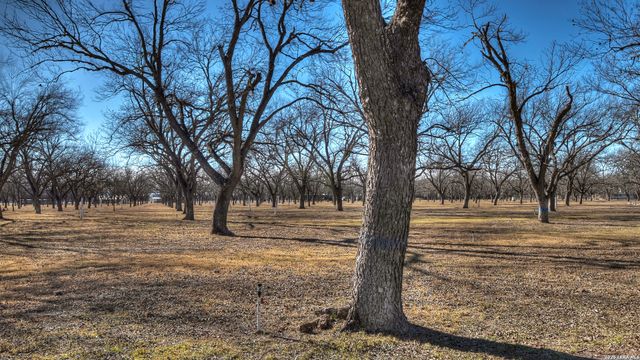 429 Johnny Seibert Ln, Leakey, TX 78873