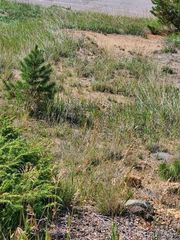 000 Quartz Valley, Central City, CO 80427