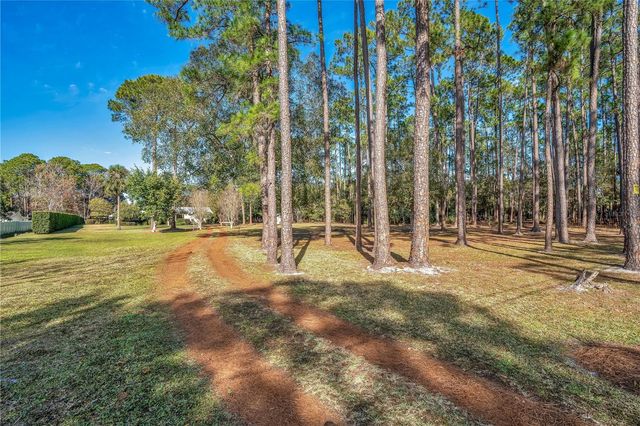 11451 FANGORN ROAD, Orlando, FL 32825