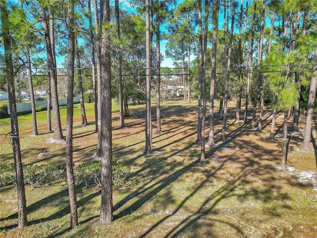 11451 FANGORN ROAD, Orlando, FL 32825
