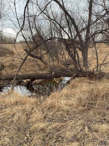 20324 AVALANCHE RD, Sturgis, SD 57785