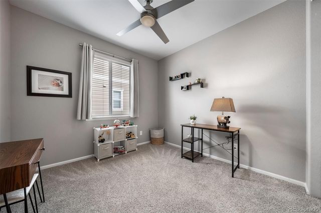 6388 Agave Avenue, Castle Rock, CO 80108