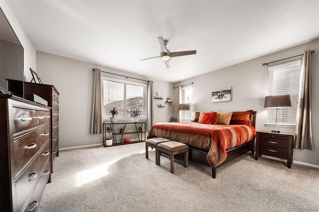 6388 Agave Avenue, Castle Rock, CO 80108