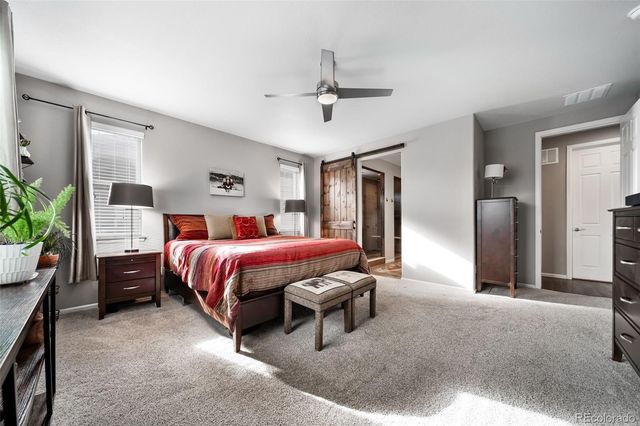 6388 Agave Avenue, Castle Rock, CO 80108