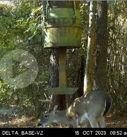 610 Private Road 5130, Woodville, TX 75979