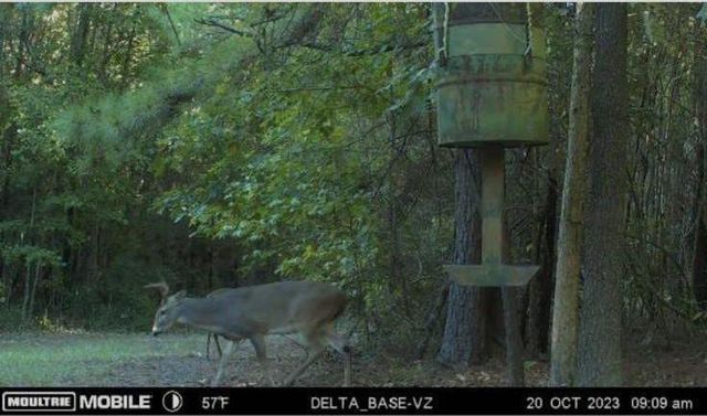 610 Private Road 5130, Woodville, TX 75979