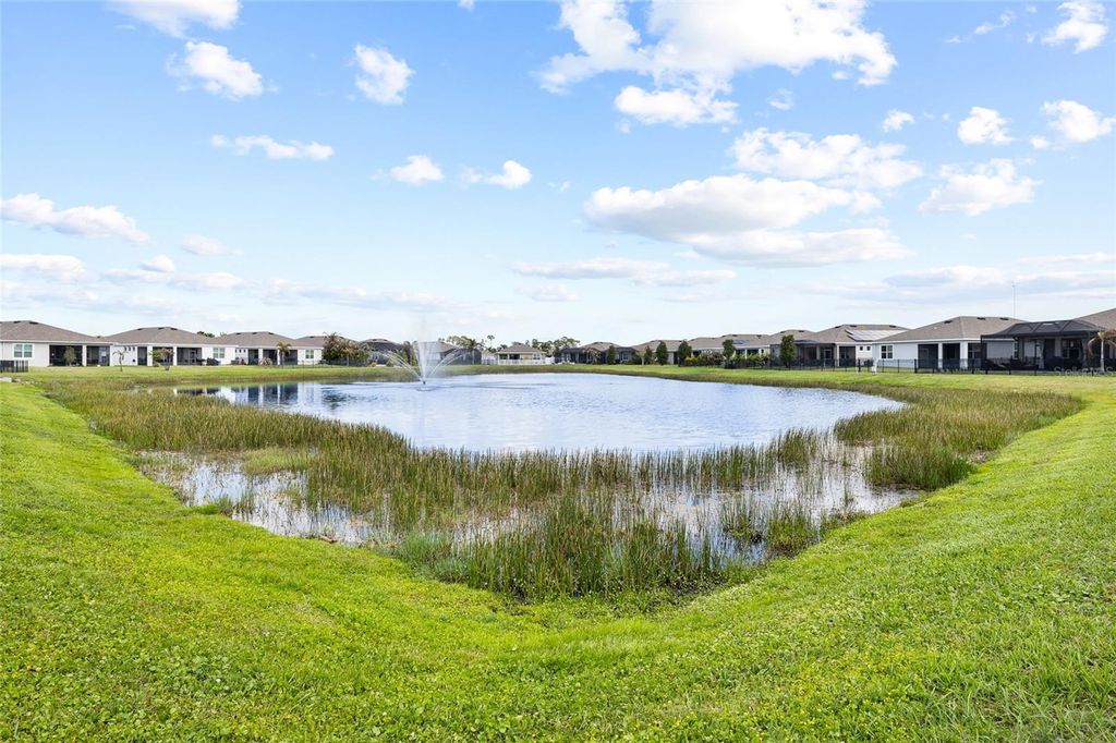 Image 31 of property listing at 13204 WATERLEAF GARDEN CIRCLE, Riverview, FL 33579