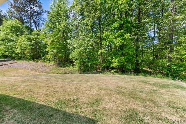 13674 Valerie Dawn, Northport, AL 35475