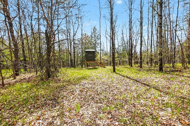 11435 Woodland Drive, Evart, MI 49631