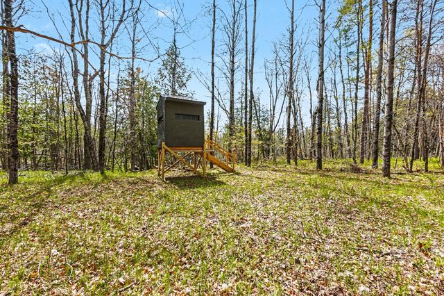 11435 Woodland Drive, Evart, MI 49631