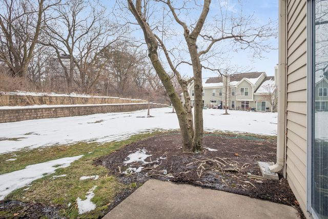 267 Cobblestone Court 267, Schaumburg, IL 60173