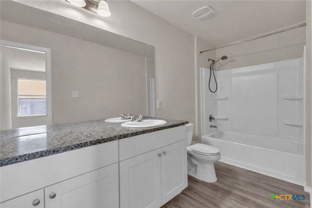 2471 Pechora Pipit, New Braunfels, TX 78130