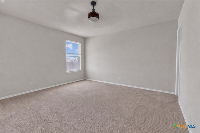 2471 Pechora Pipit, New Braunfels, TX 78130