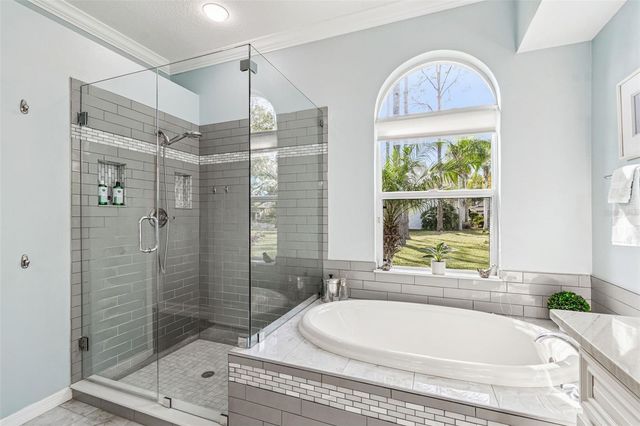 10101 WHISPER POINTE DRIVE, Tampa, FL 33647