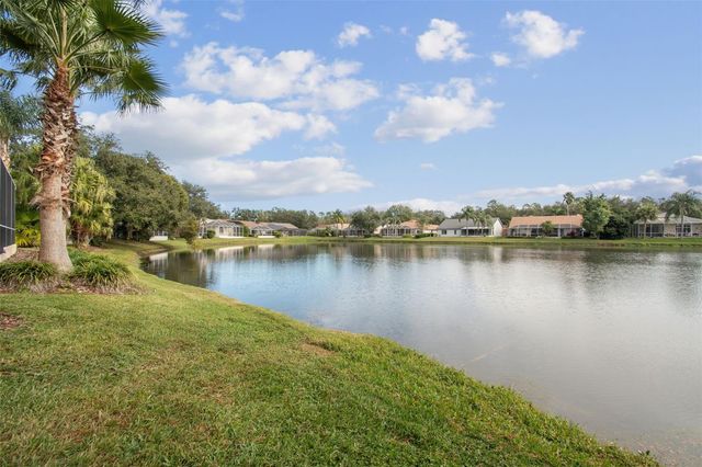 10101 WHISPER POINTE DRIVE, Tampa, FL 33647