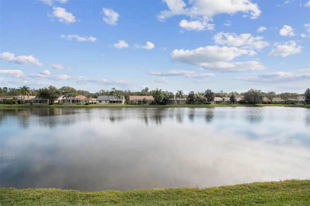 10101 WHISPER POINTE DRIVE, Tampa, FL 33647