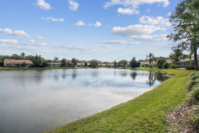 10101 WHISPER POINTE DRIVE, Tampa, FL 33647