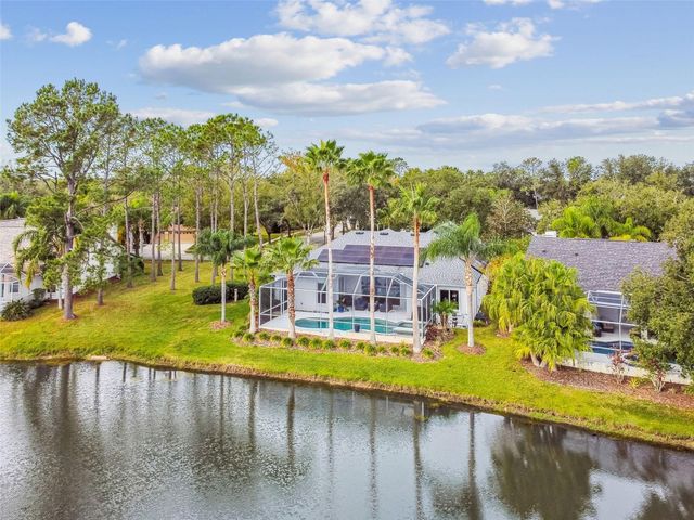 10101 WHISPER POINTE DRIVE, Tampa, FL 33647