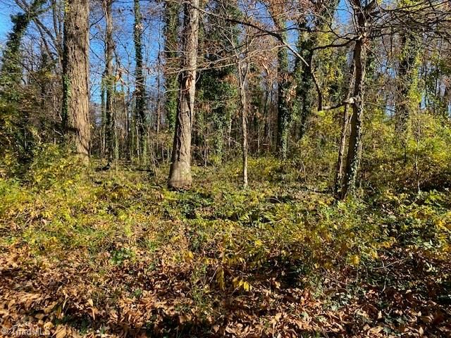 705 S Fifth Street, Mebane, NC 27302