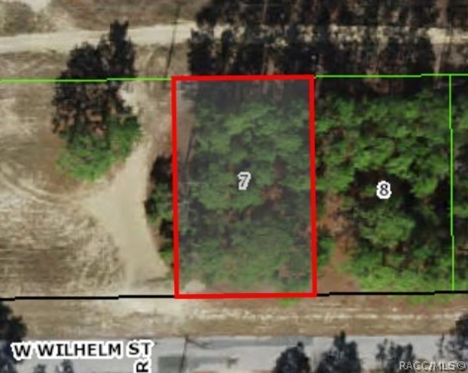 3131 W Wilhelm Street, Citrus Springs, FL 34433